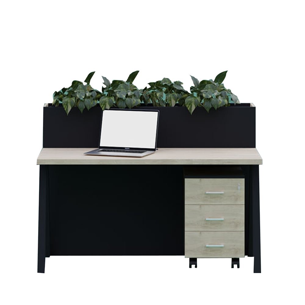 2 Person Open Workstation with Green Tree Top and Storage Drawer